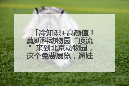 冷知识+高颜值！莫斯科动物园“顶流”来到北京动物园，这个免费展览，遛娃拍照两不误！