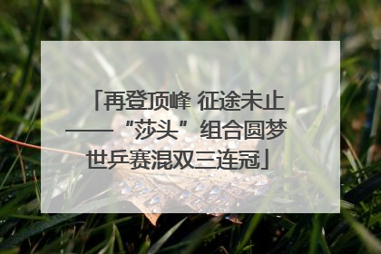 再登顶峰 征途未止——“莎头”组合圆梦世乒赛混双三连冠