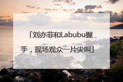 刘亦菲和Labubu握手，现场观众一片尖叫