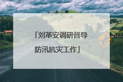 刘革安调研督导防汛抗灾工作
