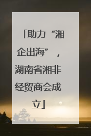 助力“湘企出海”，湖南省湘非经贸商会成立