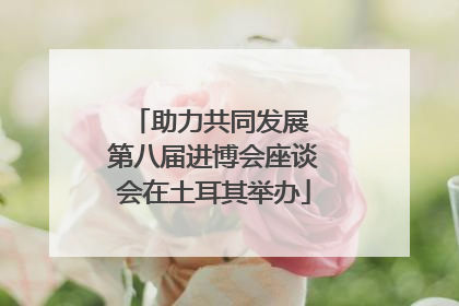 助力共同发展 第八届进博会座谈会在土耳其举办