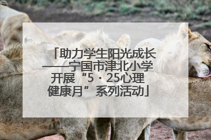 助力学生阳光成长——宁国市津北小学开展“5・25心理健康月”系列活动