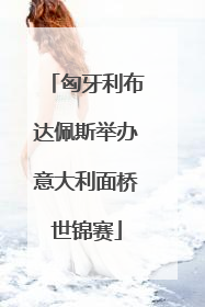匈牙利布达佩斯举办意大利面桥世锦赛