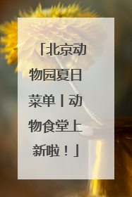 北京动物园夏日菜单丨动物食堂上新啦！