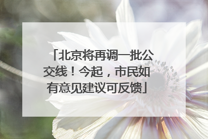 北京将再调一批公交线！今起，市民如有意见建议可反馈