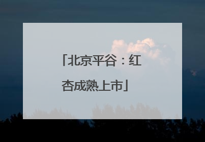北京平谷：红杏成熟上市