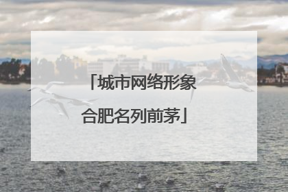 城市网络形象合肥名列前茅