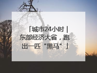 城市24小时｜东部经济大省，跑出一匹“黑马”