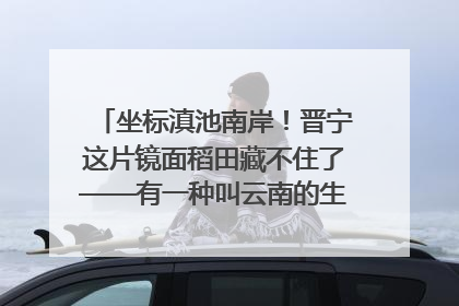 坐标滇池南岸！晋宁这片镜面稻田藏不住了——有一种叫云南的生活之365天