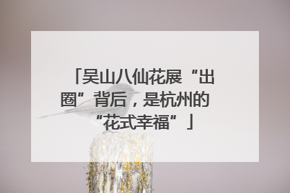 吴山八仙花展“出圈”背后，是杭州的“花式幸福”