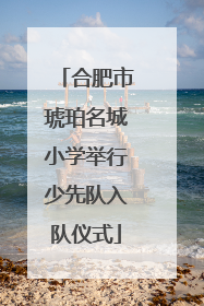 合肥市琥珀名城小学举行少先队入队仪式