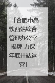 合肥市高铁西站综合管理办公室揭牌 力保年底开站运营