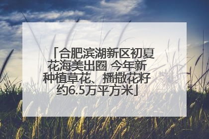 合肥滨湖新区初夏花海美出圈 今年新种植草花、播撒花籽约6.5万平方米