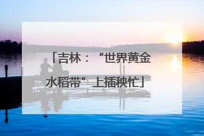 吉林：“世界黄金水稻带”上插秧忙