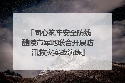 同心筑牢安全防线 醴陵市军地联合开展防汛救灾实战演练