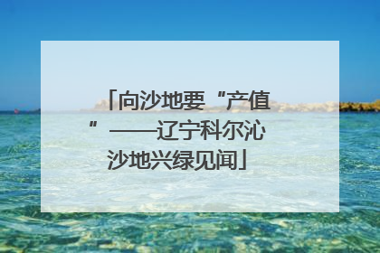向沙地要“产值”——辽宁科尔沁沙地兴绿见闻