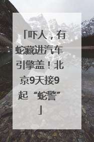 吓人，有蛇藏进汽车引擎盖！北京9天接9起“蛇警”