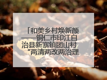 和美乡村焕新颜——铜仁市印江自治县新寨镇团山村“两清两改两治理”见闻