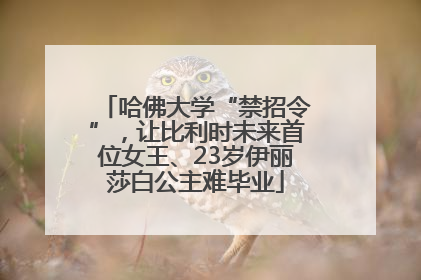 哈佛大学“禁招令”，让比利时未来首位女王、23岁伊丽莎白公主难毕业