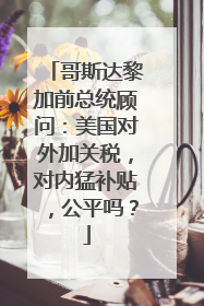 哥斯达黎加前总统顾问：美国对外加关税，对内猛补贴，公平吗？