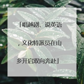 唱越剧、说英语，文化特派员在山乡开启双向奔赴