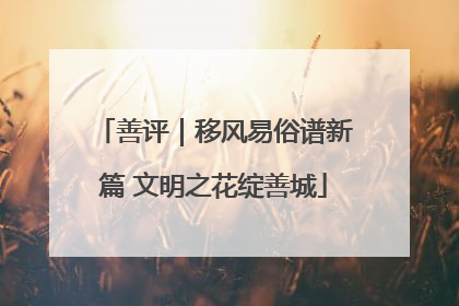 善评｜移风易俗谱新篇 文明之花绽善城