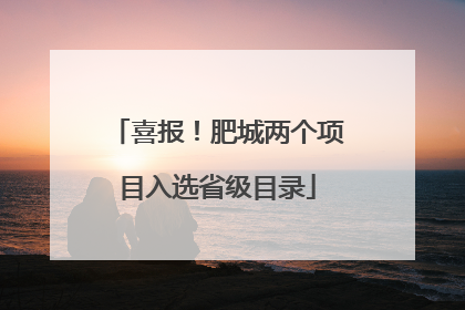 喜报！肥城两个项目入选省级目录