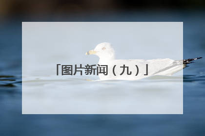 图片新闻（九）