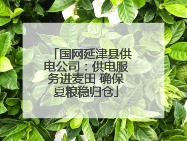 国网延津县供电公司：供电服务进麦田 确保夏粮稳归仓
