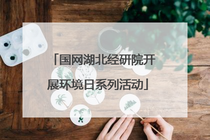 国网湖北经研院开展环境日系列活动