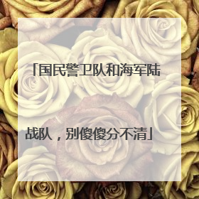 国民警卫队和海军陆战队，别傻傻分不清