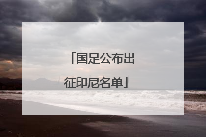 国足公布出征印尼名单