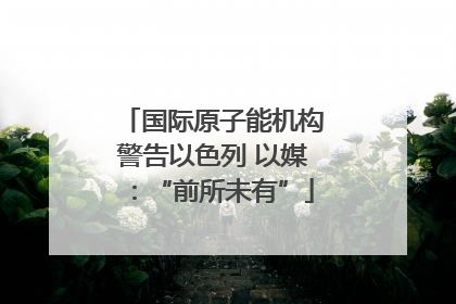 国际原子能机构警告以色列 以媒：“前所未有”