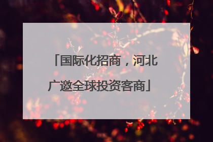 国际化招商，河北广邀全球投资客商