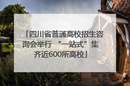 四川省普通高校招生咨询会举行 “一站式”集齐近600所高校