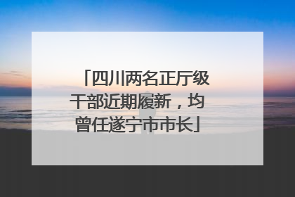 四川两名正厅级干部近期履新，均曾任遂宁市市长