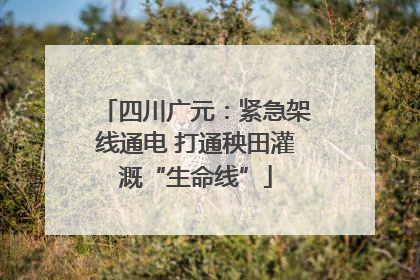 四川广元：紧急架线通电 打通秧田灌溉“生命线”