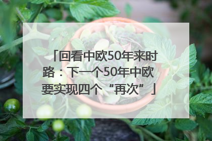 回看中欧50年来时路：下一个50年中欧要实现四个“再次”