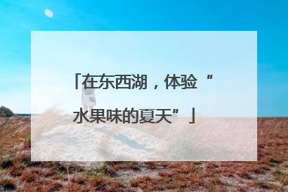 在东西湖，体验“水果味的夏天”