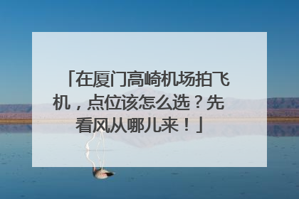 在厦门高崎机场拍飞机，点位该怎么选？先看风从哪儿来！