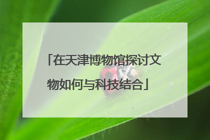 在天津博物馆探讨文物如何与科技结合