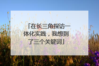 在长三角探访一体化实践，我想到了三个关键词