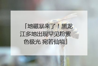地磁暴来了！黑龙江多地出现罕见粉紫色极光 宛若仙境