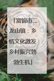 富锦市二龙山镇：乡情文化激发乡村振兴勃勃生机