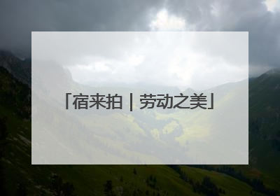 宿来拍｜劳动之美