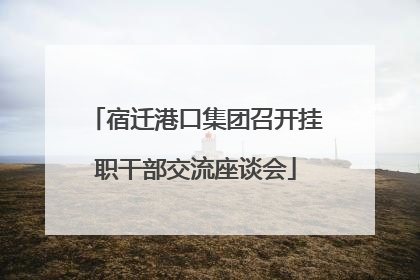 宿迁港口集团召开挂职干部交流座谈会