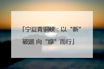 宁夏青铜峡：以“新”破题 向“绿”而行