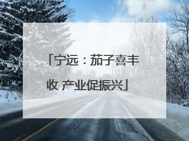 宁远：茄子喜丰收 产业促振兴