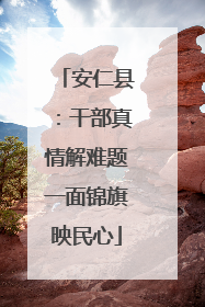 安仁县：干部真情解难题一面锦旗映民心